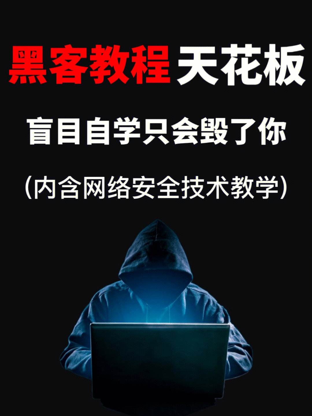 私人!免费黑客技术网站“落叶归根”